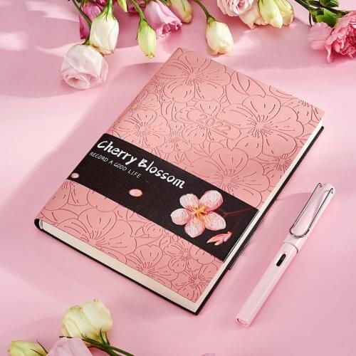 Aikeen Beautiful Diaries China