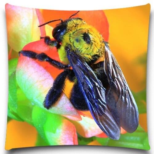 Fashion Bee 9 style 16 18 20 inches Insect Cotton polyester Pillow Case Sofa car Pad Home Decoration Cushion Cover