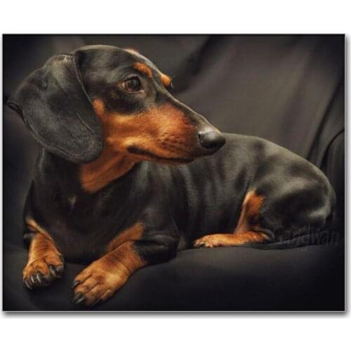 Diamond painting Dachshund rhinestones full square round drill Diy 5d diamond embroidery animal cute Dog cross stitch mosaic art