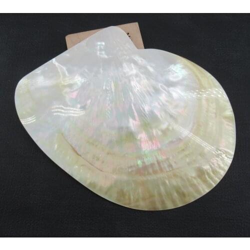 APDGG Huge 100x140mm Natural White Yellow Shell Connector Pendant Unique Design Charms Necklace Pendant Jewelry DIY