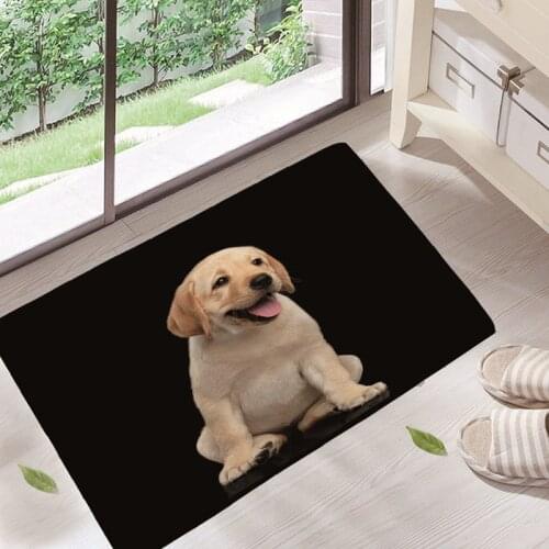Wrinkle-Resistant Cute Pet Dog cat Welcome Home Entrance Door Mat Bichon Frise Dog Mats Living Room Carpet Light Foot Rugs GA12