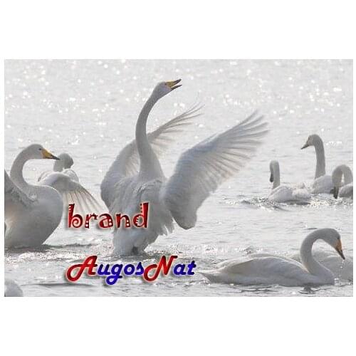 Mother child diamond painting white swans rhinestone embroidery birds mosaic decor diamond dots poster wall paper diy craft gift