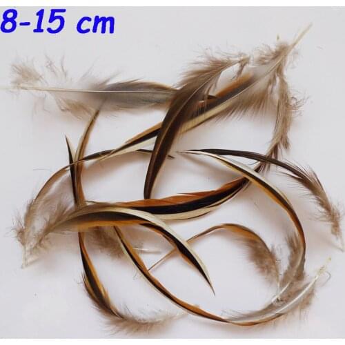 Wholesale 100 Pcs 8-15cm Beautiful Natural Duck Feathers Goose Plume For DIY Clothing Crafts Show Jewelry Accessories Decoration