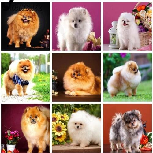 Pet Dog Diamond Painting Mosaic Kit Animal 5D Diy Embroidery Pomeranian Cross Stitch Square Rhinestone Wall Art Home Decoration