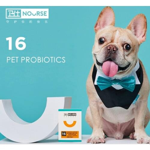 Probiotic powder for dogs 50g special conditioner for puppies and kittens, gastrointestinal nutrition, animal food, gastrointest