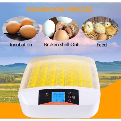 56 Eggs Incubator Automatic Incubator Brooder Hatchery Farm Poultry Hatching Machine Turn Temperature Control for Eggs Chicken