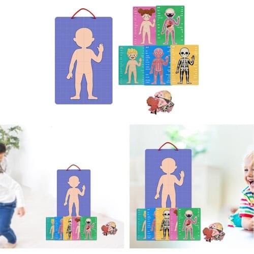 Kids Magnetic Human Body Cognitive Puzzles Early Learning Educational Toy Montessori Funny Gift For Children