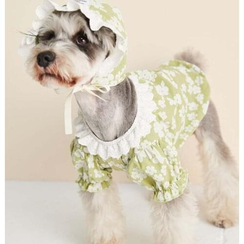 Pet Dog Coat Puppy Warm Jacket The Dog Face Hoodie Clothing for Small Medium Dogs Cat Pet Clothes