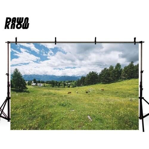 DAWNKNOW Grasslands Photography Background Forest Blue Sky Scenic Photographic Backdrops Wedding Children Photocall lv1106