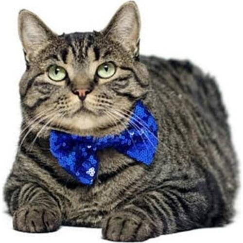 Lovely Sequin Pets Grooming Accessories Cute Dog Puppy Cat Kitten Pet Toy Kid Solid Bow Tie Necktie Clothes Cat Dog Necktie