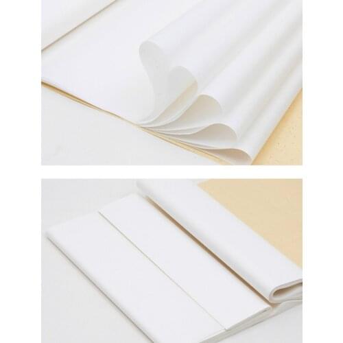 Chinese Rice Paper Papel Arroz 100sheets Calligraphy Painting for Beginner Practice Xuan Paper Chinese Raw Half Ripe Xuan Paper