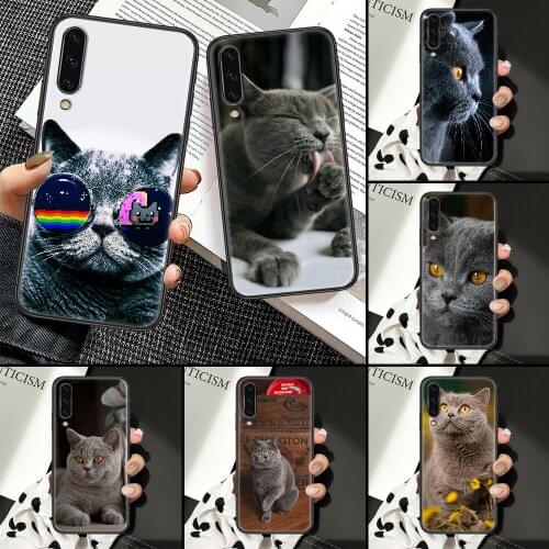 British shorthair cat Phone Case For Samsung Galaxy A10 A12 A20E A21S A30 A32 A40 A50 A51 A52 A70 A71 A72 A5 A6 A7 2018 black