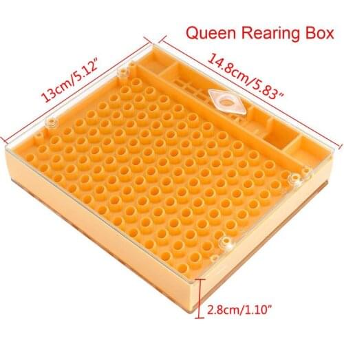2020 New Beekeeping Bee Queen Rearing Cell Box Plastic Honeycombs Bee Cage Isolation Apiculture Equipment