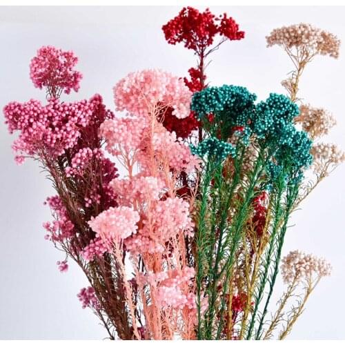 Beauty Forever Flowers Bouquet For Farmhouse Home DecorWedding Decoration Natural Fresh Ramillete Flores Eternell Millet Flower