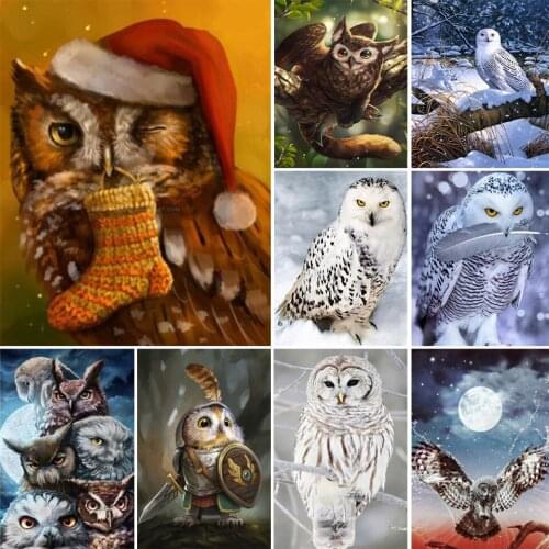 5D Owl Diamond Painting Picture Full Diamond Embroidery Rhinestone Painting Cross Stitch Kit Mosaic Mosaic Home Decoration Gifts