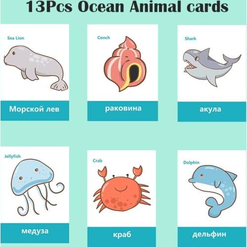DDWE 13Pcs Learn Russian English Marine life Animals Flash Card Montessori Early Development Educational Toys For Children Gift