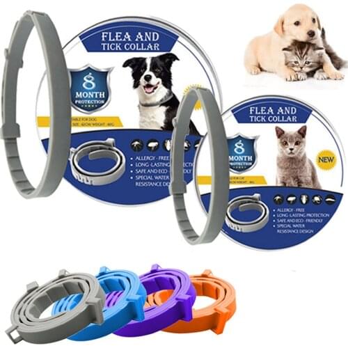 New Cat Dog Collar Anti Flea Ticks Mosquitoes Outdoor Adjustable Pet Collars 8 Months Long-term Protection Puppy Pet Accessories