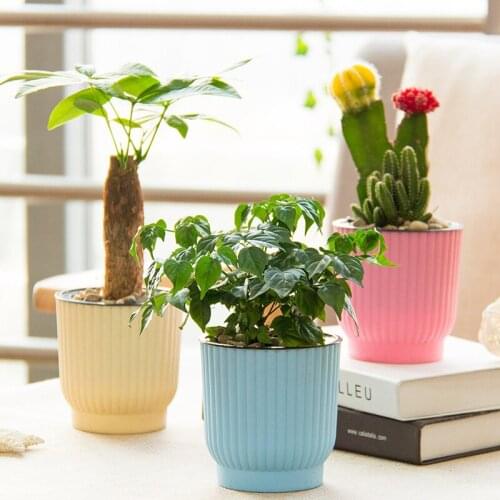 Self Watering Planter Water Irrigation Flower Pot Gardening Flower Nursery Pots for For Indoor Ocean Spider Plant