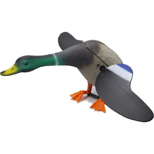 2016 Remote Control Mallard Drake Decoy Hunting Motorized Hunting Duck Decoy With Japan Motor From China