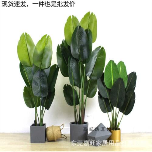 Traveler Banana Plant Fake Bird of Paradise Simulation Potted Green Plant Indoor Tree Decoration Ins Decoration