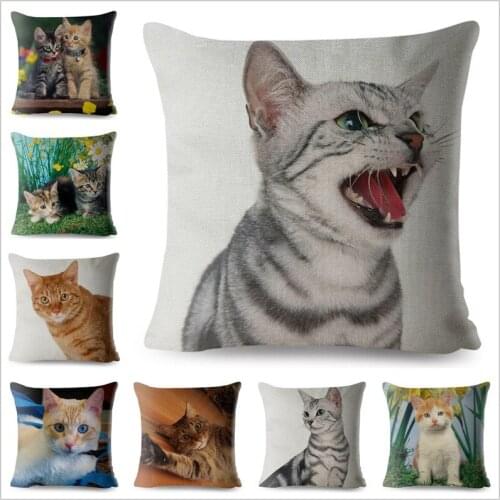 Cute Pet Cat Print Throw Pillow Cover 45*45cm Square Cushion Covers Cotton Linen Pillow Case Car Sofa Home Decor Pillows Cases