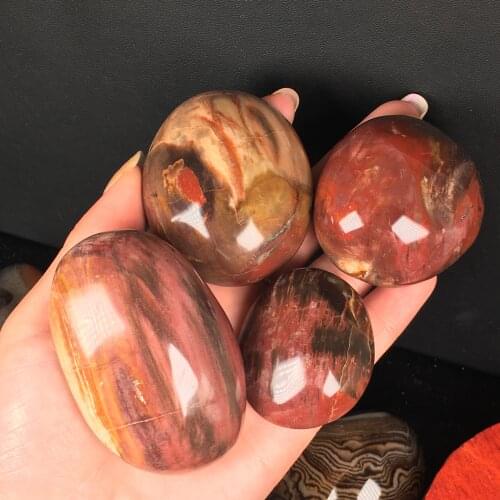 Natural Petrified Wood Stone Polished Crystal Healing Mineral