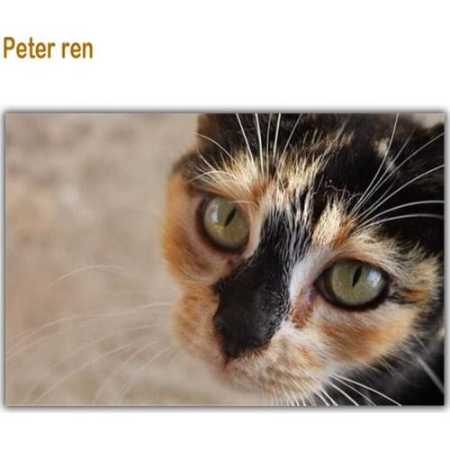 Peter ren Diamond painting Modular pictures of rhinestones 5d Round \ Square drill Mosaic icon Full embroidery "Yellow face cat"