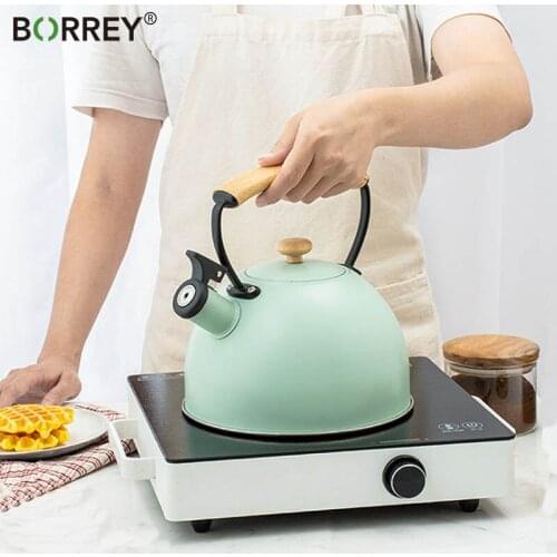 BORREY 2.5L Whistling Kettle Gas Stove Induction Cooker Electric Ceramic Stove Kettle With Wooden Handle Stainless Steel Kettle