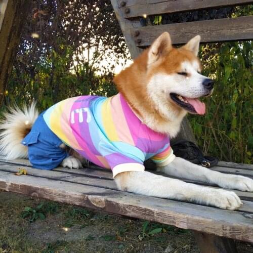Spring Summer Big Dog Clothes Jumpsuit Large Dog Clothing Outfit Corgi Japanese Akita Samoyed Husky Golden Retriever Costumes