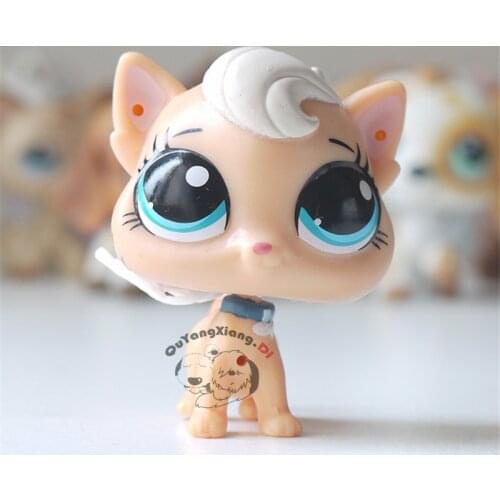 CWM055 Pet Shop Animal White hair cat doll action Figure kitten