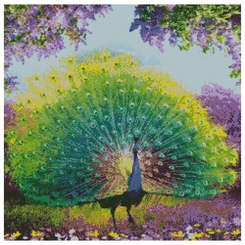New Embroidery Counted Cross Stitch Kits Needlework - Crafts 14 ct DMC Color DIY Arts Handmade Decor Peacock