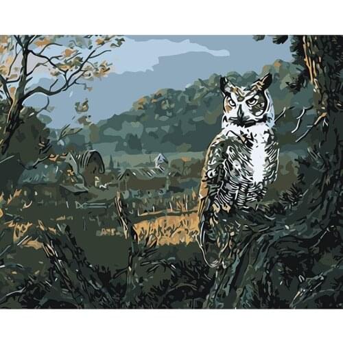 Painting By Numbers DIY Dropshipping 40x50 owl village animals Canvas Wedding Decoration Art picture Gift