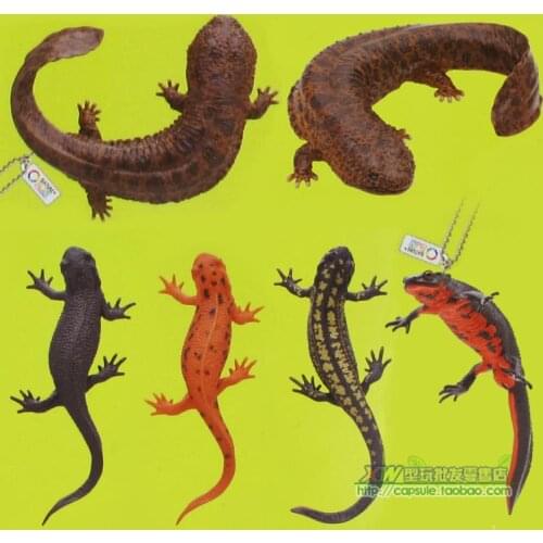 Capsule toys gashopin 6pcs/set Simulation models Reptilian lizard 6pcs/set