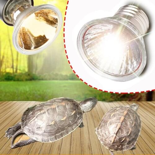 Pet Heating Lamp Lizard Tortoise Spider Reptiles Box Heater Warmer Heat Bulb Brooder 25W/50W/75W