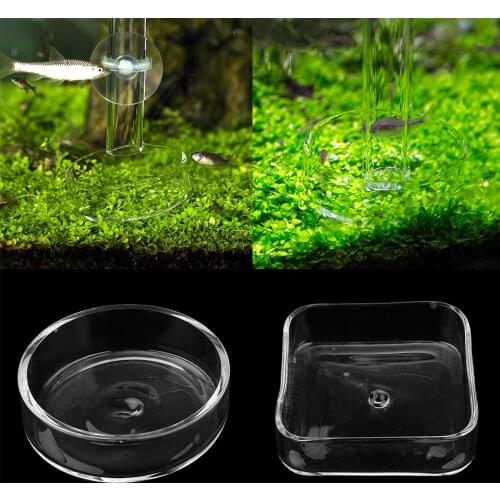 Glass Shrimp Feed Dish Heavy-duty Transparent Basin For Shrimp Food Fish Worms