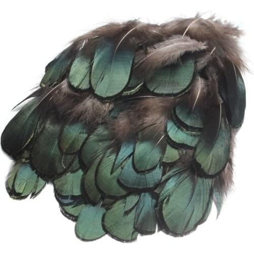 50pcs/set Beautiful Natural Pheasant Tail Green Feathers