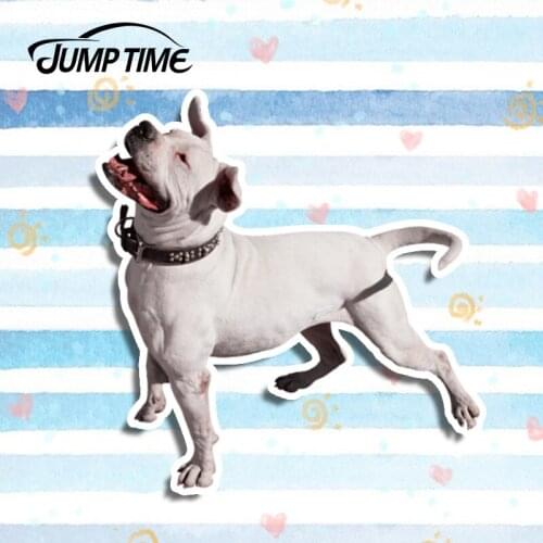 Jump Time 13cm x 12.5cm Argentine Dogo Vinyl Car Stickers Funny Bumper Window Car Laptop Decal Waterproof 3D Car Styling