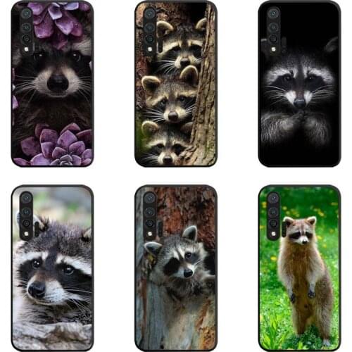 Animal Raccoon Phone Case For Huawei Nova 6se 7 7pro 7se honor 7A 8A 7C 9C Play