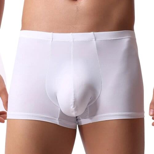 Mens Boxer Underwear Men Sexy Ultra-thin Transparent Ice Silk Boxers Brand Man Panties Low-waist Bulge Pouch Homme Boxershorts