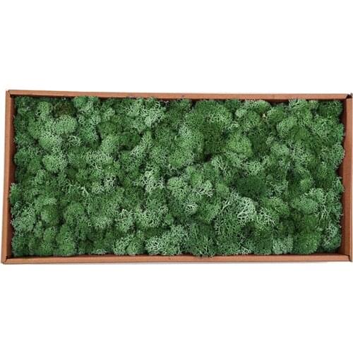 Artificial Flower Dried Reindeer Moss for Garden Home Decoration DIY Craft Flower Bonsai Basket Plant Wedding Turf Decor