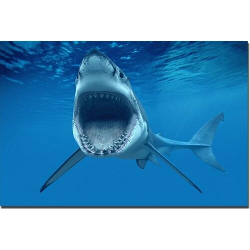 Shark HD Picture Nordic Style Wall Art Poster Canvas Prints Paintings for Living Room Decor