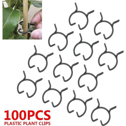 100pcs 6cm Plant Vines Fastener Clip Vegetable Grafting Plastic Support Clips Gardening Greenhouse Supplies