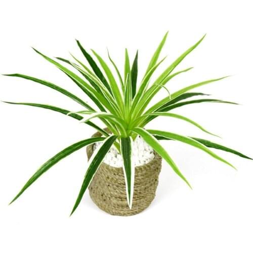 Artificial Plastic Plants Chlorophytum Branch Home Decorative Fake Plants Indoor Potted Table Decoration NO Pot