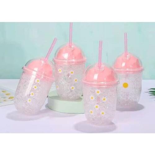 Popular Double Layer Ice Cup Girl Powder Cute Straw Cup Outdoorvwater Bottle Portable Traveling Cup Gift Tea Beverage Coffee Cup