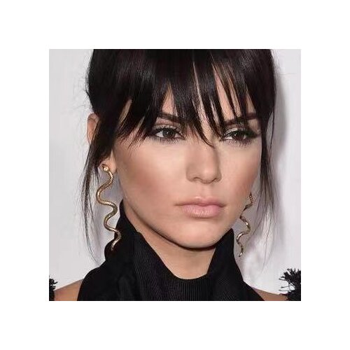 2021 New Fashion Kendall Style Metal Twisted Snake Shape Earrings Exaggerated Serpentine Earrings For Earrings