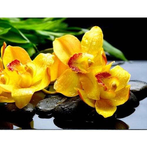 Diy full square 5d diamond painting stone / Orchid diamond embroidery cross stitch 3d rhinestones mosaic Home decor gift GH410