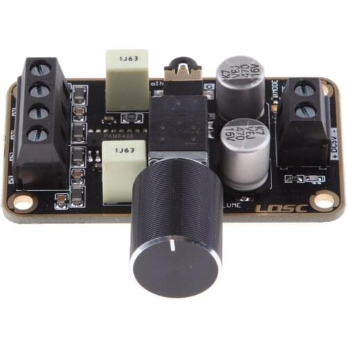 PAM8406 Class D Digital Amplifier Board Dual Channel 5V 5W+5W DIY Stereo Amp
