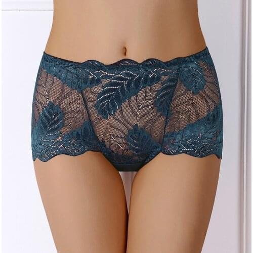Ladies Sexy Mesh Panties High-waist Seamless Lace Underwear Briefs Transparent Silk Women Cotton Health Knickers Lingerie XXL