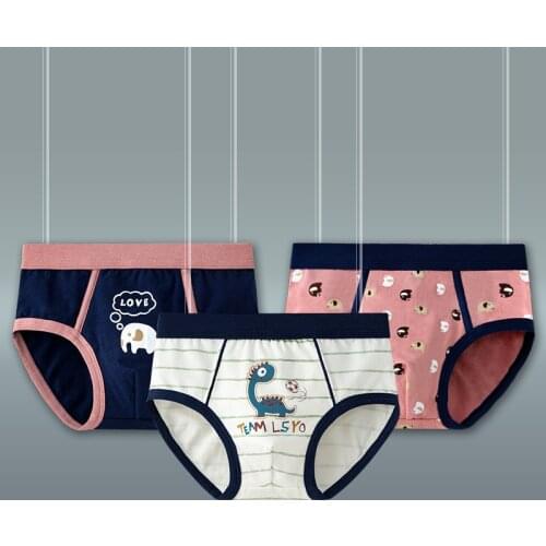 2Pcs Kids Boys Underwear Cartoon Childrens Shorts Panties For Baby Boy Cotton Briefs Soft Shorts Teenager Underpants