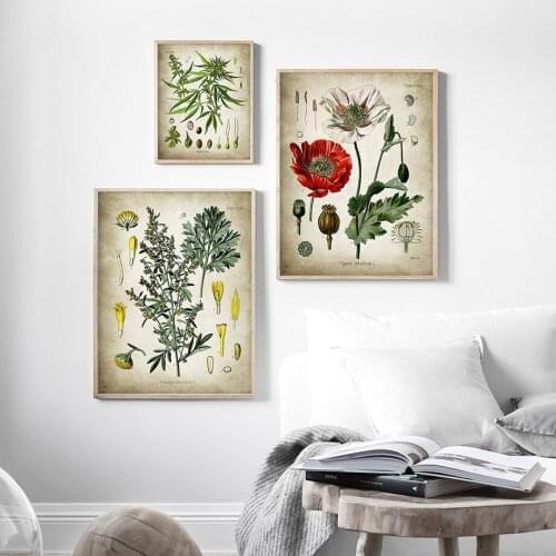Vintage Flowers Anatomy Diagram Wall Art Canvas Painting Nordic Posters And Prints Plants Wall Pictures For Living Room Decor